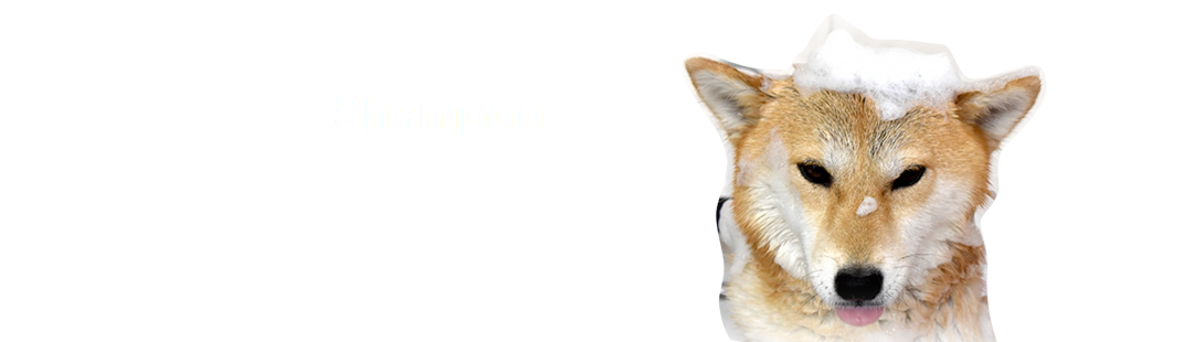 犬のシャンプー